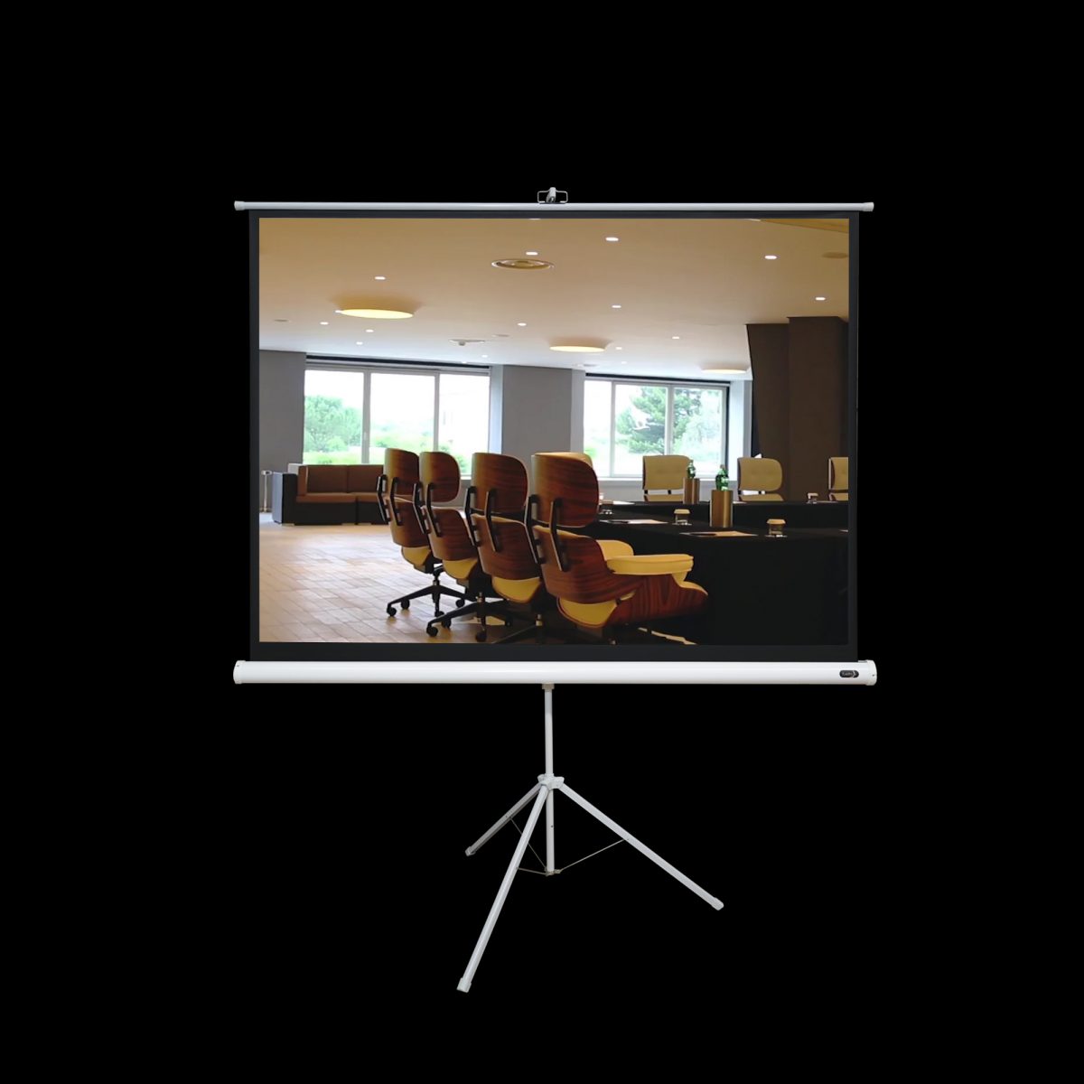 Tripod Screen